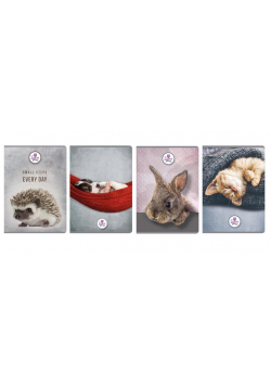 Brulion A5/96K kratka The Sweet Pets