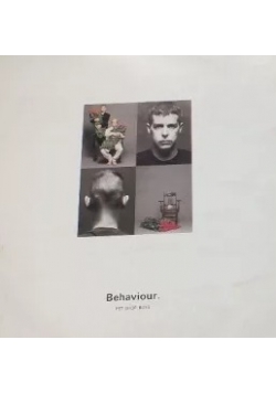 Pet Shop Boys,płyta winylowa