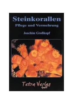Steinkorallen