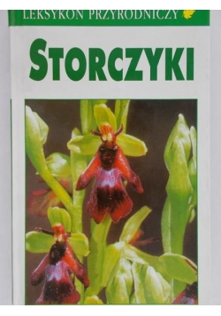Storczyki