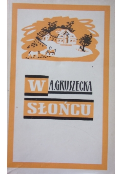 W słońcu