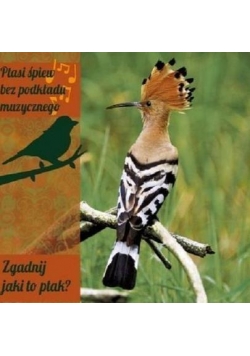 Ptasi śpiew bez pod. muz. Zgadnij jaki to ptak? CD