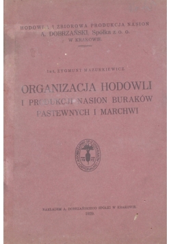 Organizacja hodowli i produkcji nasion buraków,  1929 r.