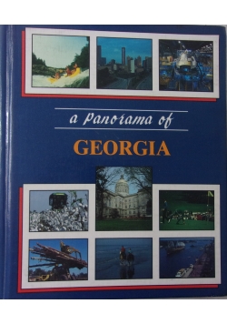 A Panorama of Georgia