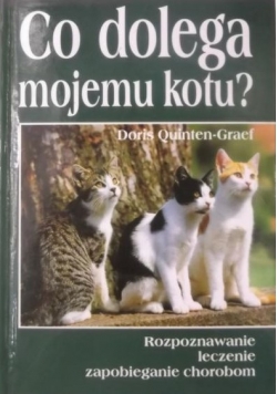 Co dolega mojemu kotu?