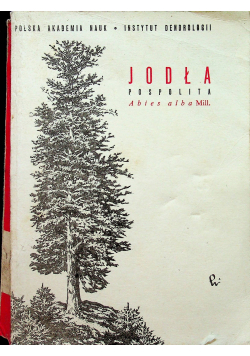 Jodła pospolita Abies alba Mill