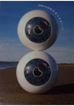 Pink Floyd Pulse. 2 płyty DVD