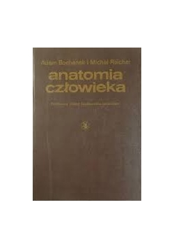 Anatomia człowieka. Tom IV