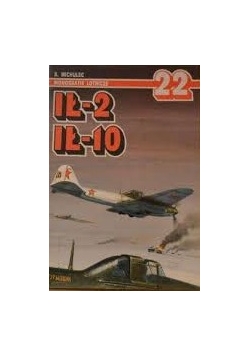 Monografie lotnicze, nr 22