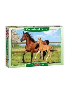 Puzzle 260 Konie CASTOR