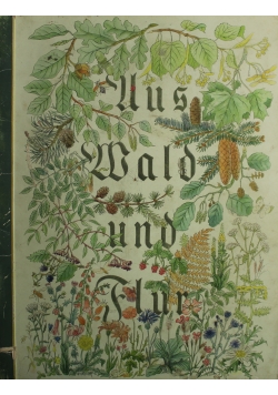 Aus Wald und Flur 1937 r.