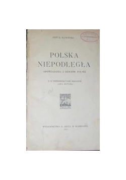 Polska niepodległa Opowiadania z dziejów Polski, 1919 r.