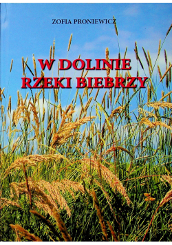 W dolinie rzeki Biebrzy