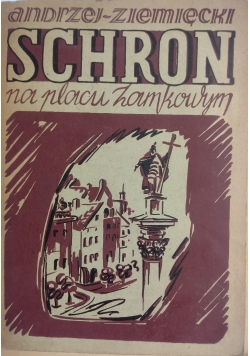 Schron na placu Zamkowym, 1947 r.