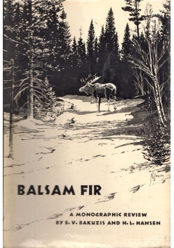 Balsam fir