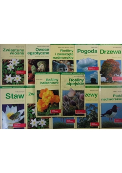 Przewodnik kieszonkowy, zestaw 10 książek