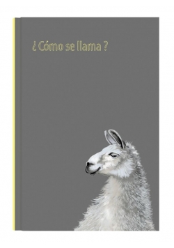 Notes Gee Llama 13,5x19,5 NARCISSUS