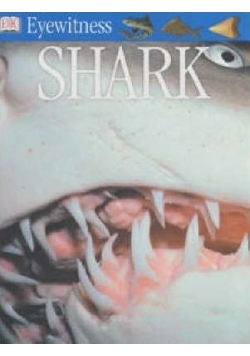Eyewitness Shark