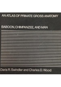 Baboon Chimpanzee and Man