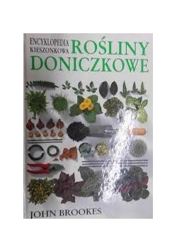 Rośliny doniczkowe