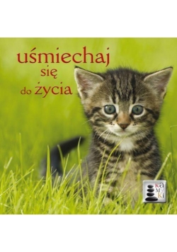Kamyki 4. Uśmiechaj się do życia