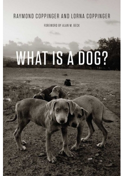 What Is a Dog?