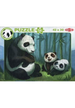 Panda Stars Puzzle C 56