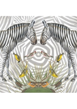 Karnet kwadrat z kopertą Zebra