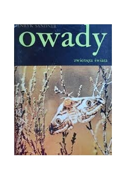 Owady