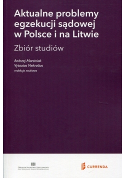 Aktualne problemy egzekucji sądowej w Polsce i na Litwie