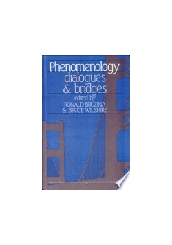 Phenomenology dialogues and bridges