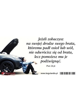 Magnes 28 na lodówkę Jeżeli zobaczysz na swojej drodze