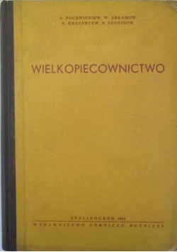 Wielkopiecownictwo
