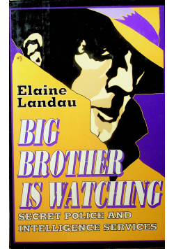 Big Brother is Watching