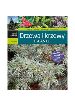 Drzewa i krzewy iglaste