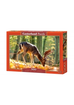 Puzzle 500 Król lasu CASTOR