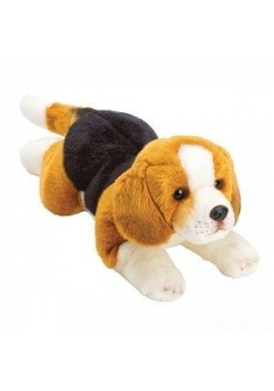 Piesek Beagle 35cm SUKI