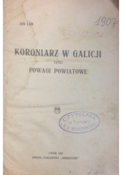 Kronikarz w Galicji czyli powagi Powiatowe, 1921 r.