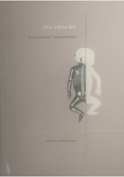 The infant in anatomical transparencies