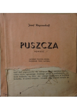 Puszcza, 1945 r.