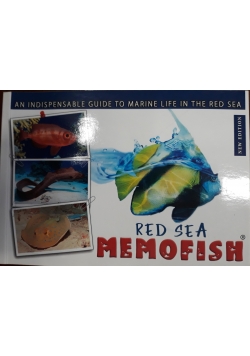 Red sea memofish