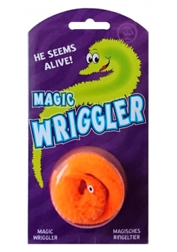 Magiczne stworzonko pomarańczowe