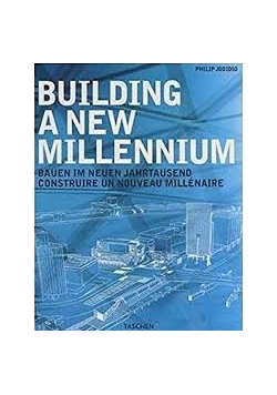 Bulding a new millennium