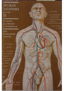Human Anatomy