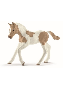 Koń Paint Horse Foal