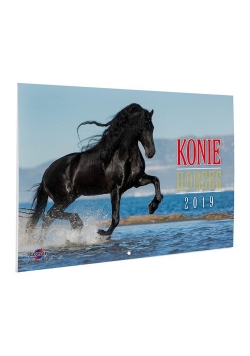 Kalendarz 2019 Konie