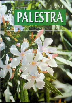 Palestra 7 8