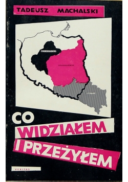 Co widziałem i przeżyłem