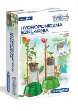 Hydroponiczna Szklarnia