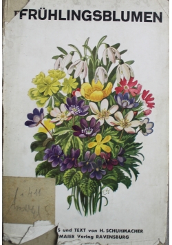 Fruhlingsblumen